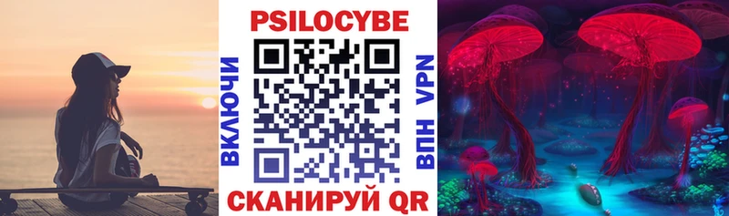 где продают   Александров  Галлюциногенные грибы ЛСД 